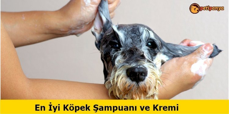 En İyi Köpek Şampuanları ve Kremleri 2020